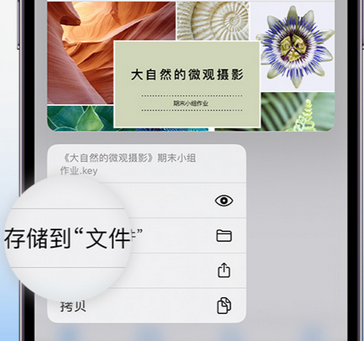 夏县apple维修中心分享iPhone文件应用中存储和找到下载文件