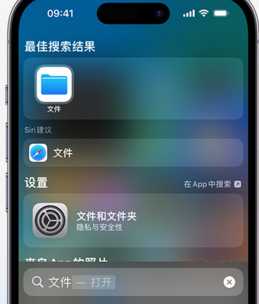 夏县apple维修中心分享iPhone文件应用中存储和找到下载文件 