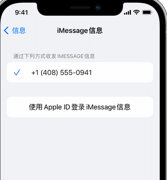 夏县apple维修iPhone上无法正常发送iMessage信息 