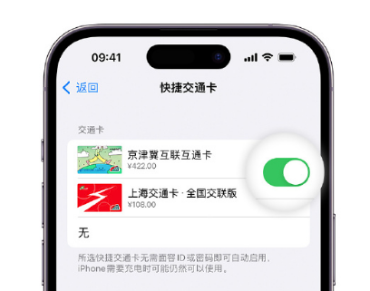 夏县apple维修点分享iPhone上更换Apple Pay快捷交通卡手绘卡面 