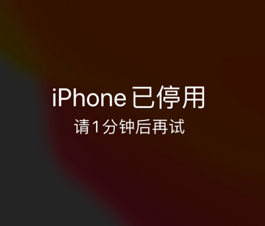 夏县苹果手机维修分享:iPhone 显示“不可用”或“已停用”怎么办？还能保留数据吗？ 