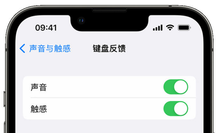 夏县苹果手机维修分享iPhone 14触感键盘使用方法 