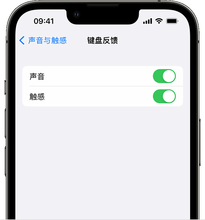 夏县苹果14维修店分享如何在 iPhone 14 机型中使用触感键盘 