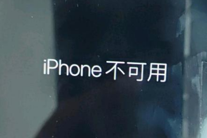 夏县苹果服务网点分享锁屏界面显示“iPhone 不可用”如何解决 