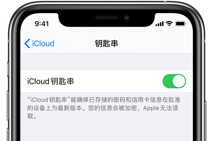 夏县苹果手机维修分享在 iPhone 上开启 iCloud 钥匙串之后会储存哪些信息 