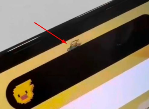夏县苹果14维修分享iPhone 14 Pro Max灵动岛怎么养宠物 