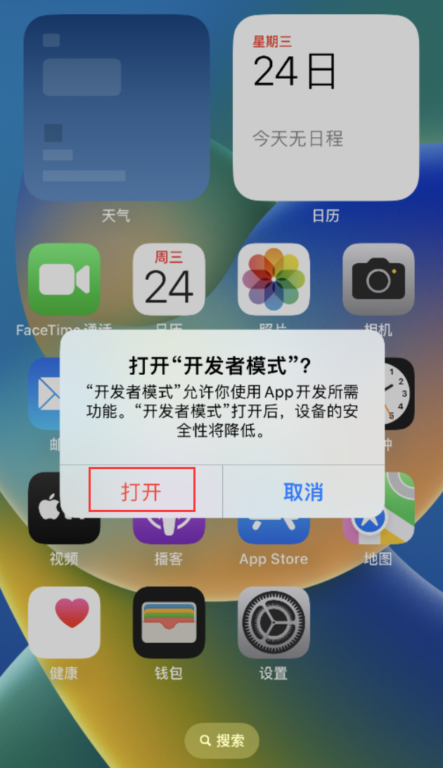 夏县苹果手机维修分享如何打开开发者模式 