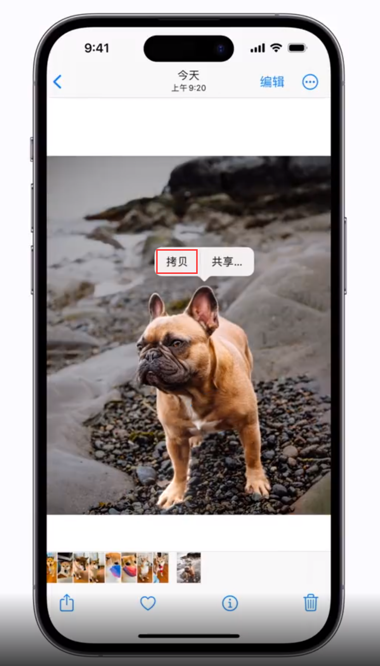 夏县苹果手机维修分享 iOS 16 自带一键抠图功能 