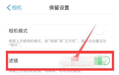夏县苹果13维修分享iPhone13拍照有绿点是怎么回事 