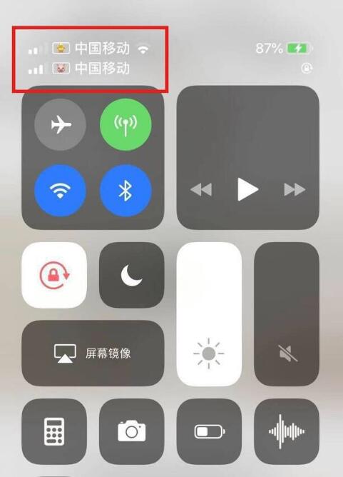 夏县苹果手机维修分享为 iPhone 12 双卡设置标签 